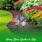 G128 Coastal Gnome Statue Set of 2 | Beach Themed Seasonal Gnome Figurines for Bookshelf, Home, Garden